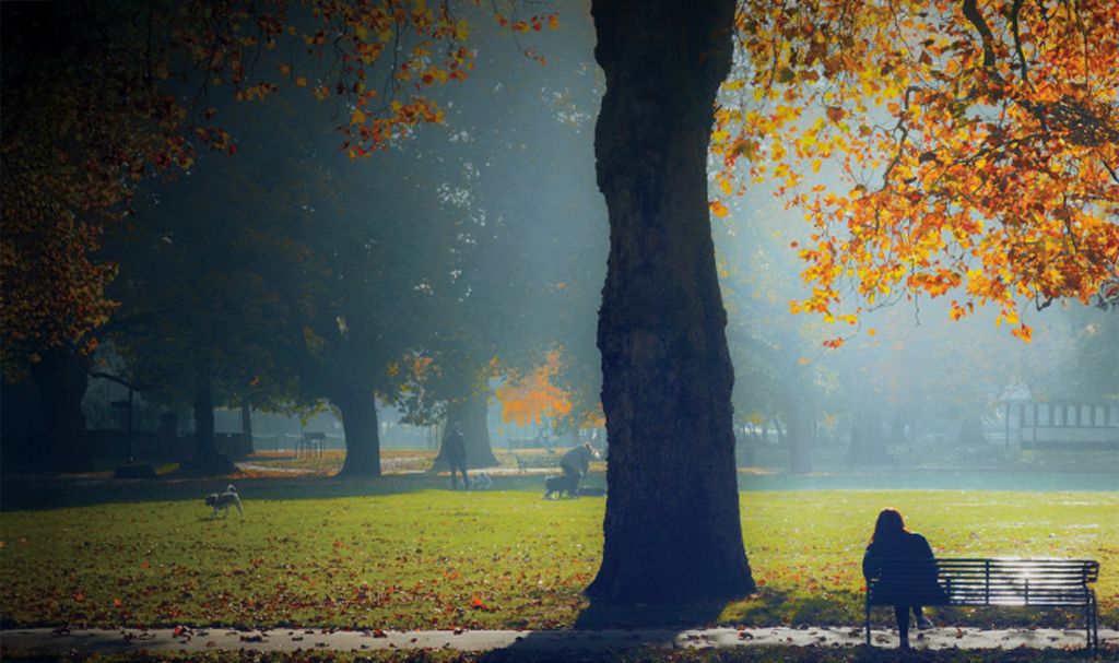 Rental reform legislation is only a month or two away, are you ready?